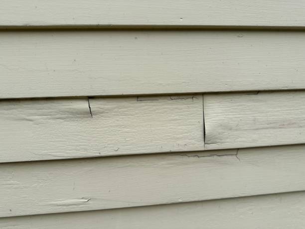 ### Historical Building Siding Restoration